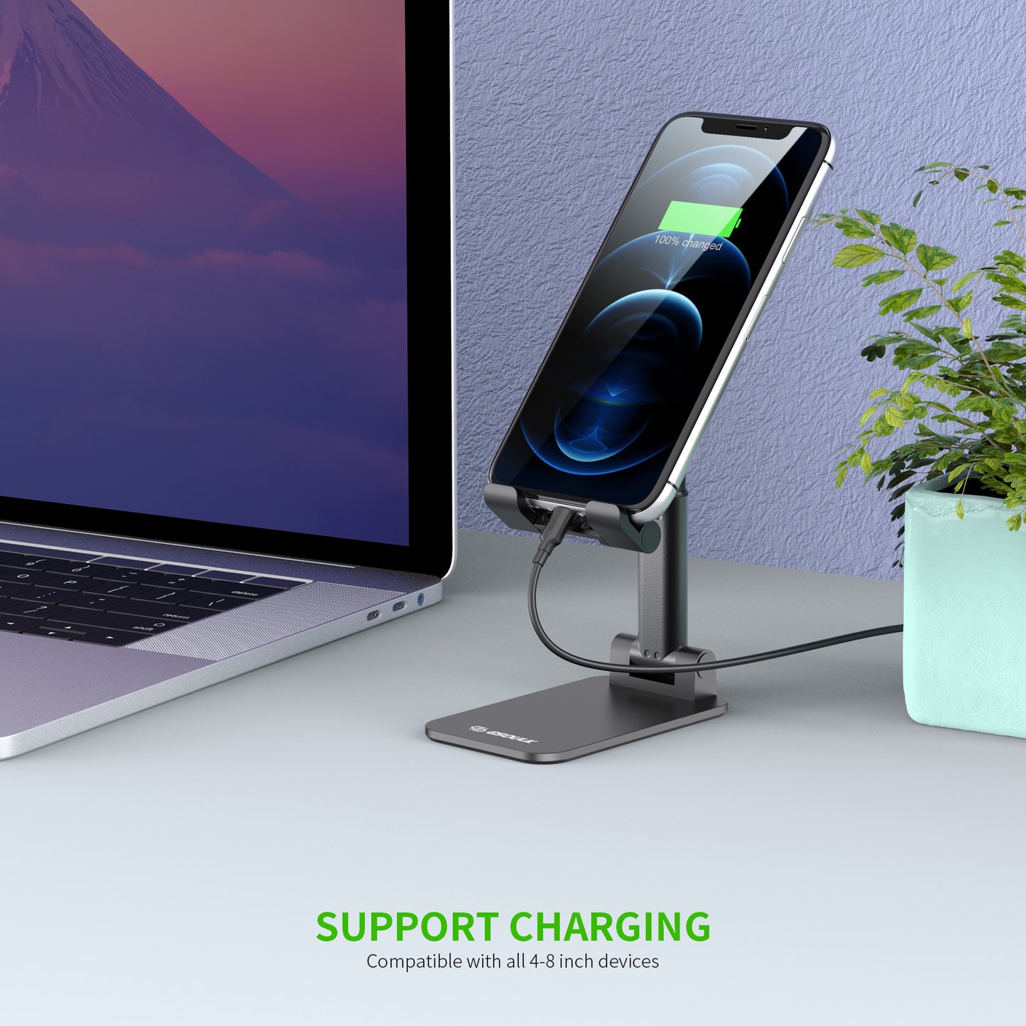 Foldable Cellphone & Tablet Holder